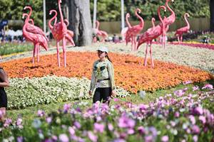 BIB: 
                            <button type="button" onclick="openModal(27794176)" class="btn btn-primary btn-sm float-right btn-popup" data-toggle="modal" data-target=".modal-high-quality">
                        <i class="fas fa-shopping-cart"></i> Add to Cart
                    </button>
                                            <button type="button" onclick="isThisMe(27794176, true)" class="btn btn-success btn-sm float-right btn-popup btn-isme hidden" data-toggle="tooltip" data-placement="bottom" title="นี่คือรูปของคุณใช่ไหม คลิกที่นี่เพื่อเอาเข้าอัลบั้ม">
                        <i class="fas fa-plus"></i> Add to album
                    </button>
                    <button type="button" onclick="isThisMe(27794176, false)" class="btn btn-warning btn-sm float-right btn-popup btn-isnotme hidden">
                        <i class="fas fa-ban"></i> Remove from album
                    </button>